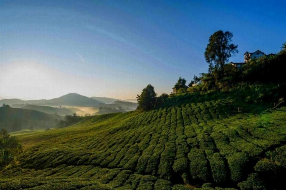 lifestyle in malaysia (3)
